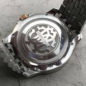 FN12000P【電池交換済み】roberto cavalli ロベルトカヴァリ by FRANCK MULLER QUARTZ クォーツ メンズ 腕時計 稼働品の画像5