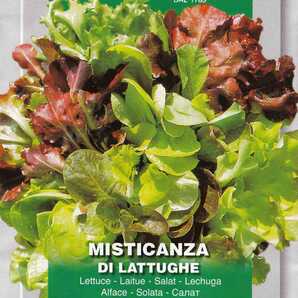 レタス ミックス種子 100粒 13種類 mix DI LATTUGHE ベビーリーフ【2025.6】レタスブーケ 固定種の画像1