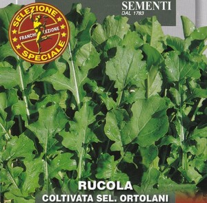 ルッコラの種子 100粒 COLTIVATA SEL. ORTOLANI 早生種 通常のルッコラよりも香り高くレストランクオリティ 固定種 ロケット