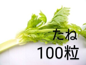  Golden celery. seeds 100 bead yellow gold white color. stem . yellow green. leaf . feature. celery cell Lee middle . raw goods kind 