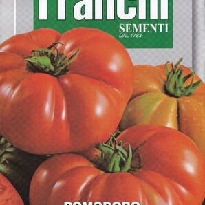 イタリアントマトの種子 6粒 フィオレンティーノ FIORENTINO 大玉トマト 固定種 かぼちゃのようなユニークな形！の画像2