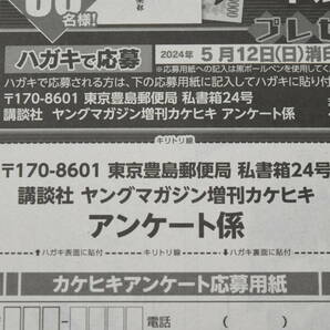 在庫9☆沢口愛華 本郷柚巴 ヤングマガジン 増刊カケヒキ 沢口愛華 本郷柚巴 クオカード 応募用紙の画像3