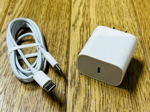 新品 ACアダプター 12W USB type-C 急速充電器 USB type-C 充電用ケーブル 1.2m セット