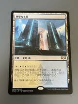 MTG　日本語版　神聖なる泉/Hallowed Fountain　１枚　RNA_画像1