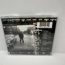 t258 NAS 10 YEAR ANNIVERSARY ILLMATIC PLATINUM SERIES_画像3