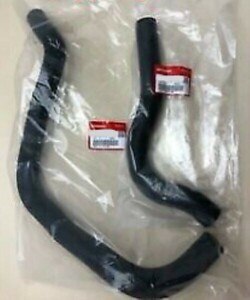 ホンダ ホース インテグラ ウオーターアツパー ロアー セット HOSE WATER UPPER LOWER SET HONDA 純正 JDM OEM メーカー純正品