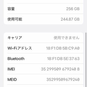 【ジャンク品】Apple iPhone 8 256GB MQ842J/A A1906 スペースグレイ ドコモ 利用制限〇 バッテリー最大容量78％ 240130SK390407の画像8