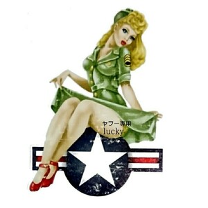 ヴィンテージ レトロ 転写 ステッカー 車 カッティングステッカー シール デカール アメリカ ミリタリー 空軍 ピンナップガール ロゴ 装飾 