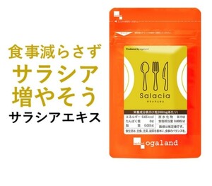 サラシアエキス（約1ヶ月分）ダイエット サプリメント サプリ ダイエットサプリ サラシア茶 オーガランド 燃焼 健康サプリ
