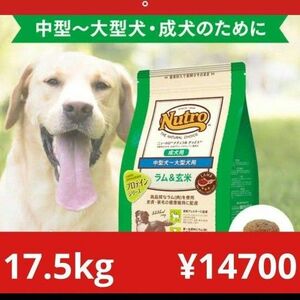 ニュートロナチュラルチョイス ラム＆玄米 中型犬 大型犬 成犬用 17.5kg