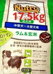 ニュートロナチュラルチョイス ラム＆玄米 中型犬 大型犬 成犬用 17.5kg