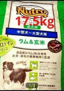 ニュートロナチュラルチョイス ラム＆玄米 中型犬 大型犬 成犬用 17.5kg