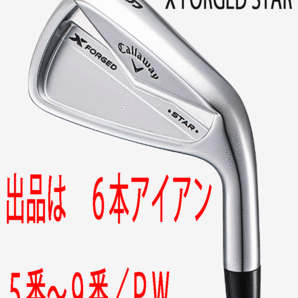 新品■キャロウェイ■2024.4■X-FORGED STAR■６本アイアン■5~9/P-WEDGE■NS PRO950GH neo スチール■S■キャビティで寛容性を高めた■の画像1