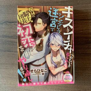 キスしてイチャつかないと出られないシンデレラ迷宮で因縁の騎士団長と初恋をやり直します！ （ティアラ文庫） せらひなこ／著