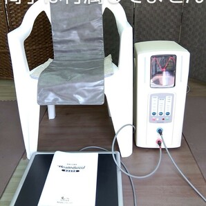 家庭用電位治療器プロメイト、リブレックス、ヘルシード14000Xの画像1