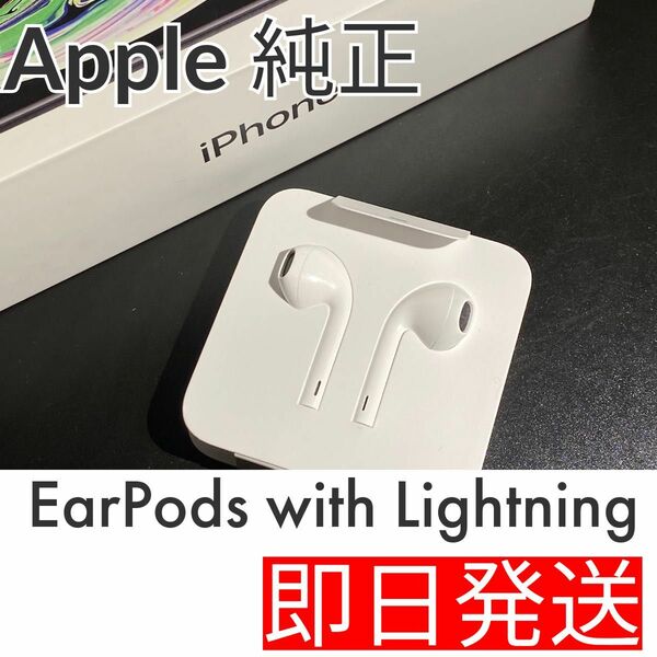 【新品】 Apple 純正 Lightning イヤホン 有線イヤホン ライトニングケーブル iPhone付属イヤホン