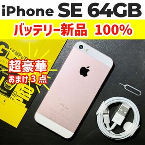 iPhone SE 初代 第1世代 64GB RoseGold ローズゴールド SIMフリー H55