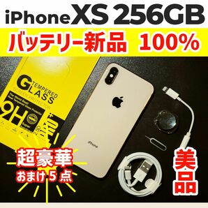 Apple iPhone Xs Gold ゴールド 256GB SIMフリー H57