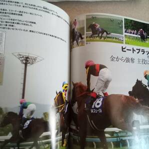 永久保存版 週刊ギャロップ 臨時増刊号 Gallop JRA重賞年鑑 2012年 アパパネ オルフェーブル 馬 本 ゴールドクーポン大歓迎の画像7