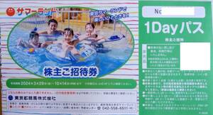 東京都競馬 株主優待 8枚セット　東京サマーランド株主ご招待券1Dayパス8枚（春秋限定4枚＋通常4枚）