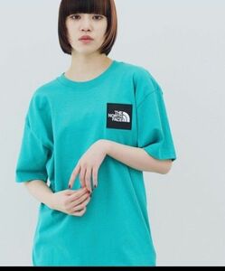 ノースフェイス　THENORTHFACE　 ヘビーウェイトボックスロゴ Tシャツ