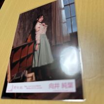 櫻坂46 向井純葉 【 「 何度 LOVE SONGの歌詞を読み返しただろう？」MV衣装 】生写真（ 全身 ） 計1点【 送料無料 】_画像3