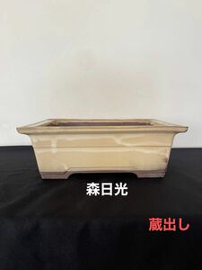 【小鉢437】長方　植木　盆栽　山野草　落款あり　蔵出し　アンティーク