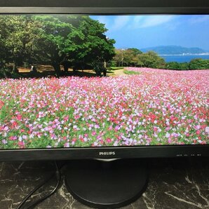 1円～ ■PHILIPS 243V5QHABA/11 23.6インチ ワイド 液晶モニター 1920×1080 フルHD ノングレア (非光沢) 周辺機器 D-Sub DVI-D HDMIの画像1