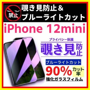 iPhone 12mini 覗き見防止 ブルーライトカット 強化ガラス フィルム ガラスフィルム 保護フィルム 指紋防止　飛散防止