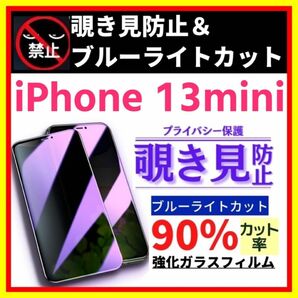 iPhone 13mini 覗き見防止 ブルーライトカット 強化ガラス フィルム ガラスフィルム 保護フィルム 指紋防止　飛散防止