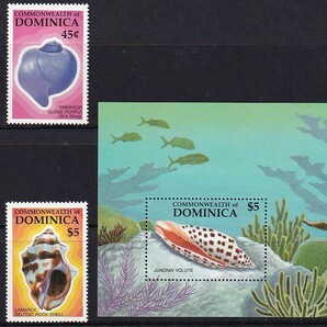 36 ドミニカ連邦【未使用】＜「1987 SC#1019-1022,#1023 海貝」 4種完＋小型シート ＞の画像1