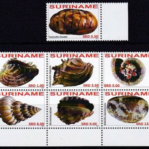 13 スリナム【未使用】＜「2011 SC#1410-1416 海洋生物・貝」 7種完(1種＋6種連刷ブロック) ＞の画像1