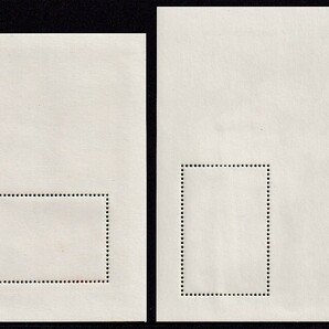 9 ガイアナ【未使用】＜「1990 ガイアナの蘭」 組合せ・小型シート(16種連刷)x2組、小型シートx2組 ＞の画像6