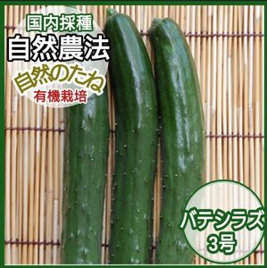 きゅうり　無農薬の種　バテシラズ　たね　きゅうりの種　家庭菜園　プランター　国内採種　自然農法　自然のたね　野菜の種　種　10粒