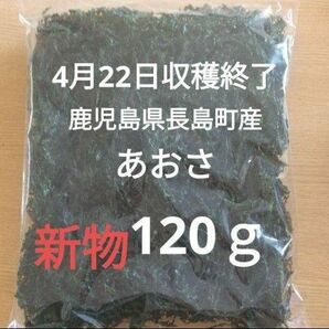 ４月22日収穫終了　鹿児島県長島町産　あおさ　あおさのり　乾燥あおさ