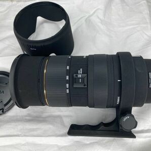 SIGMA 50-500mm 1:4-6.3 APO DG HSM EX SIGMA オリンパス マウント 一眼カメラ用レンズ Olympusの画像1