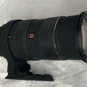 SIGMA 50-500mm 1:4-6.3 APO DG HSM EX SIGMA オリンパス マウント 一眼カメラ用レンズ Olympusの画像2