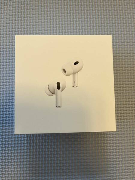 【ジャンク品】AirPods Pro 第１世代　MWP22J/A