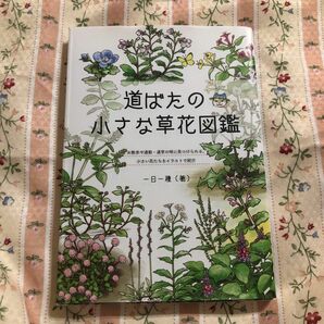 道ばたの小さな草花図鑑　お散歩や通勤・通学の時に見つけられる、小さい花たちをイラストで紹介 一日一種