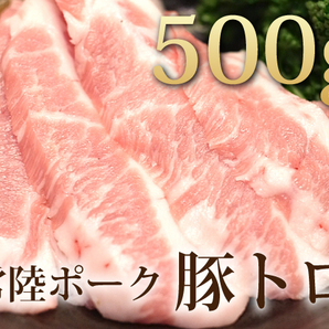 1円【1数】常陸ポーク 豚トロ500g★4129屋★BBQ 業務用 焼肉 希少部位 の画像1