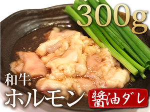 1円【1数】和牛ホルモン300g醤油だれ/29焼肉訳ありBBQ焼肉