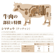 1円【1数】シマチョウ(テッチャン) 300g 辛味噌だれ ホルモン モツ ダイテツ 大腸 焼肉 焼き肉 肉 お肉 牛 バーベキュー BBQ 内臓肉 4129_画像6