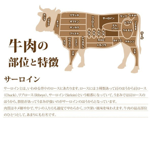 1円【1数】国産サーロイン1ｋブロックステーキ4129業務用BBQの画像5