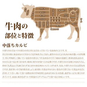 1円【１数】黒毛和牛 中落ちカルビ 500g ナカバラ 焼肉 BBQ バーベキュー 贈答 お歳暮 ギフト 業務用 訳あり 訳有り 大量 1円スタートの画像4