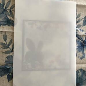 1. ハンドメイド ファイル ウサギ ホワイト 白の画像2