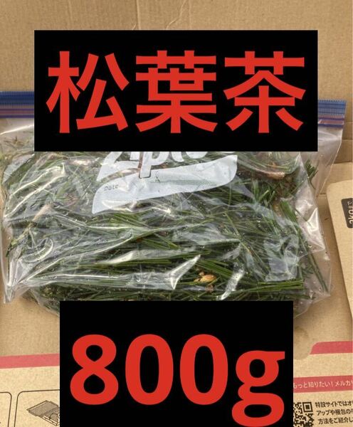 松葉茶　800g 即購入可　即日発送　朝取れ　農薬：栽培期間中不使用