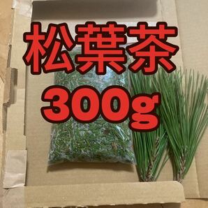 松葉茶　300g 即購入可　即日発送　朝取れ　農薬：栽培期間中不使用