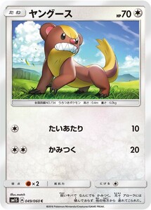 ポケモンカード　ヤングース　C　コレクション　サン＆ムーン