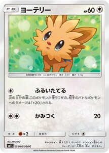 ポケモンカード　ヨーテリー C　コレクション　サン＆ムーン