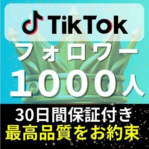 【安心安全★高品質★低価格★【TikTokフォロワー1000人】♪おまけ♪便利なSNS増加ツール！ SNS YouTube Instagram 他